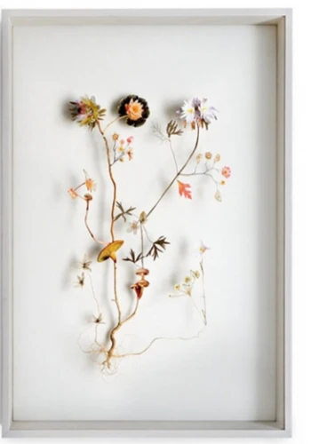 Voorjaarsbloemen bezorgen met boeketcadeau